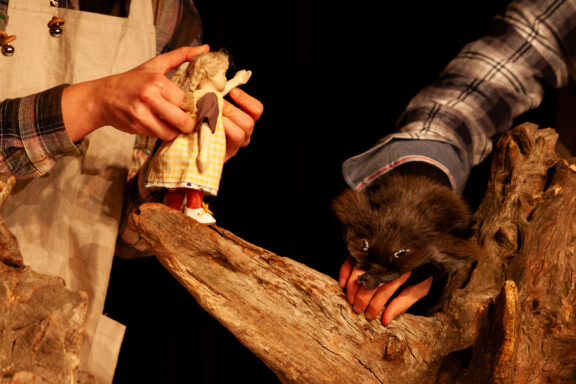 Studio DAMÚZA: Mezi pařezy