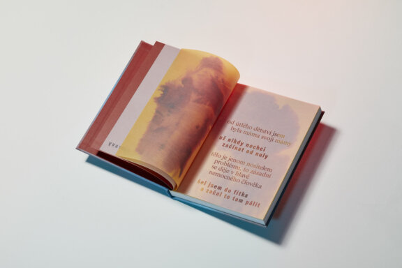 Literární vzlet: Martina Lupínková – Toho dna se dotýkám už málo